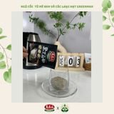  Bột ngũ cốc dinh dưỡng từ mè đen và các loại hạt Greenmax Đài Loan 
