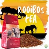  Hồng trà Rooibos Nam Phi dạng túi lọc 
