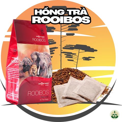 Hồng trà Rooibos Nam Phi túi lọc Rooibos Tea Natural