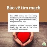  Hồng trà Rooibos Nam Phi dạng túi lọc 