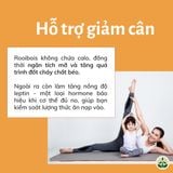  Hồng trà Rooibos Nam Phi dạng túi lọc 