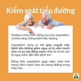  Hồng trà Rooibos Nam Phi dạng túi lọc 