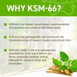  Applied Nutrition viên uống ASHWAGANDHA KSM-66® (60 Viên) 