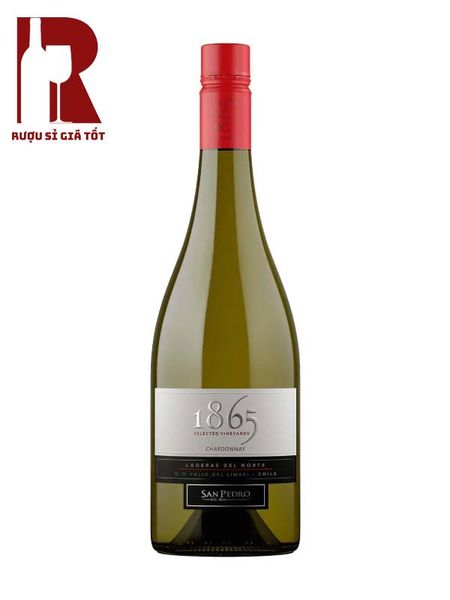 Rượu Vang Chile Trắng 1865 Chardonnay