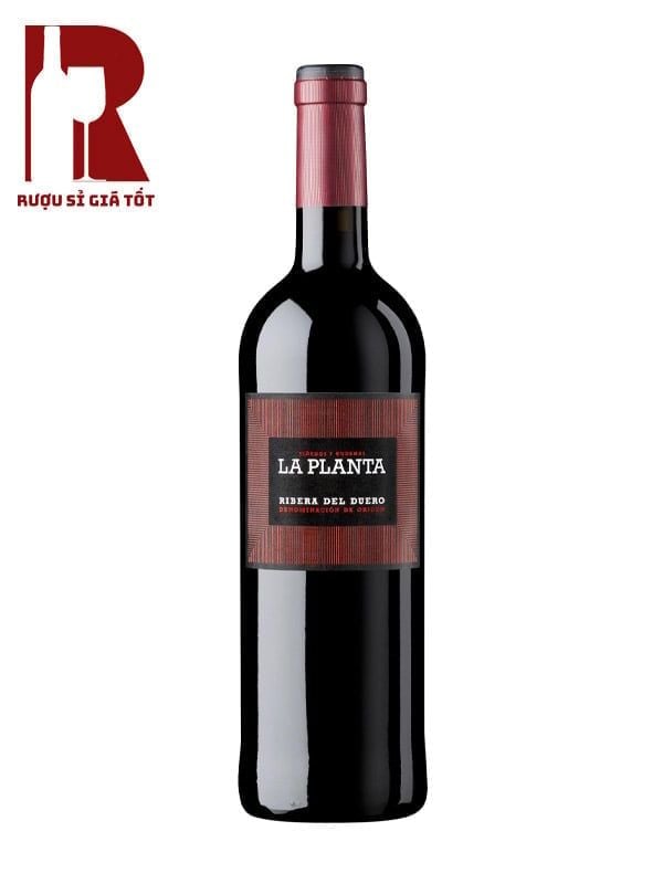 Rượu Vang Tây Ban Nha Đỏ Arzuaga La Planta Ribera del Duero