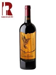 Rượu Vang Giá Rẻ Gói Quà Tết - Dịp Đặc Biệt