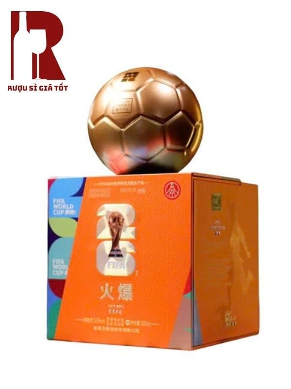 Rượu Ngũ Lương Dịch - Fifa World Cup 2026