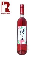 Rượu Mơ Gói Quà Tết 2026 - Dịp Đặc Biệt