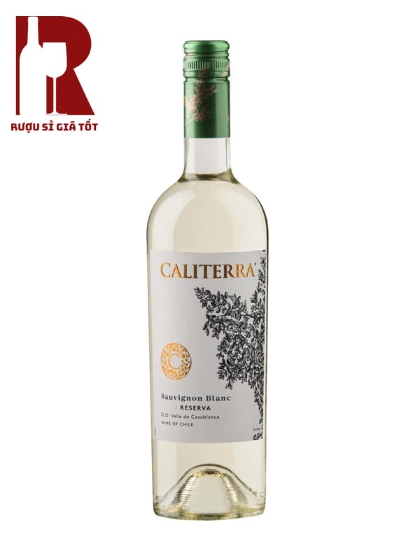 Rượu Vang Chile Trắng Caliterra Reserva
