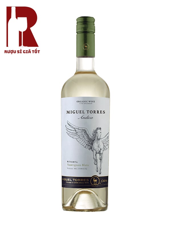 Rượu Vang Chile Trắng Miguel Torres Andica Reserva