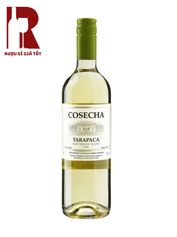 Rượu Vang Chile Trắng Tarapaca Cosecha