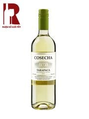Rượu Vang Chile Trắng Tarapaca Cosecha