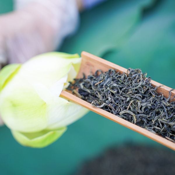 Tịnh Tâm Bạch Liên Trà - Trà Ướp Hoa Sen Trắng Hồ Tịnh Tâm Huế