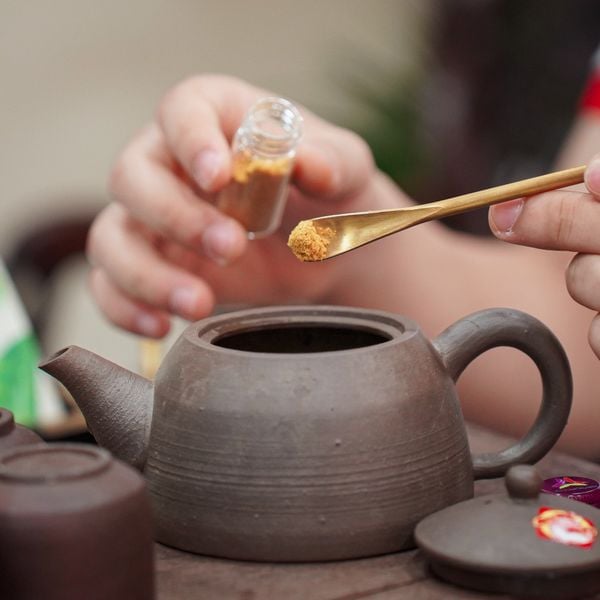 Tinh chất chè tươi
