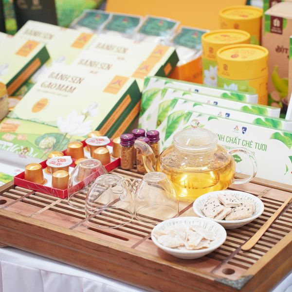 Tinh Chất Chè Tươi - Hộp Quà Tặng