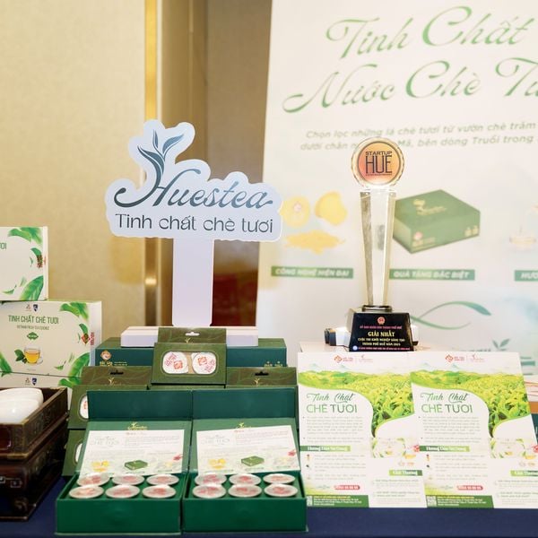 Tinh Chất Chè Tươi - Hộp Quà Tặng