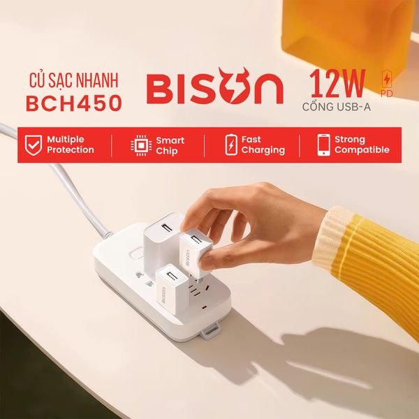 Củ sạc Bison 12W  (BCH450)