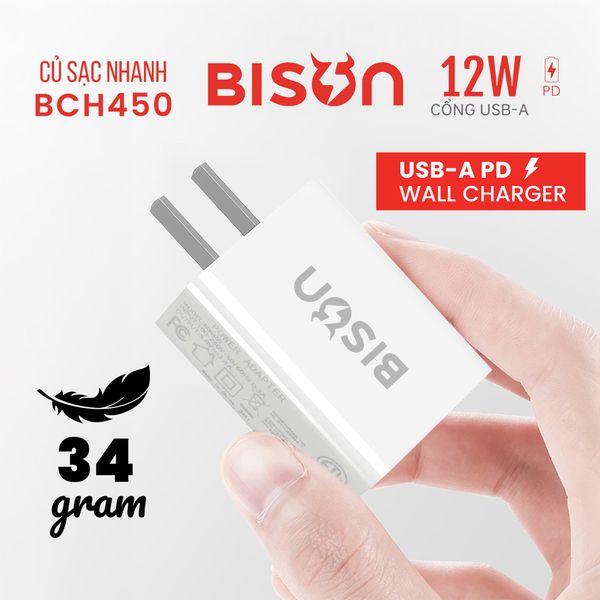 Củ sạc Bison 12W  (BCH450)
