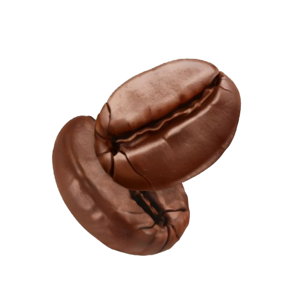 Cà phê hạt rang Robusta (Gói lớn 1kg phù hợp cho quán)