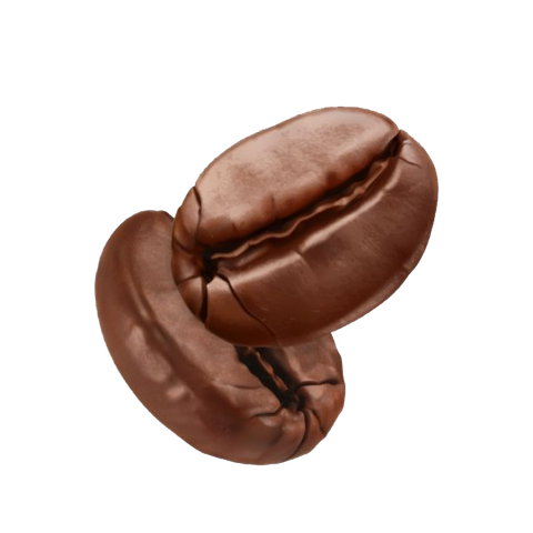 Cà phê hạt rang Robusta (Gói lớn 1kg phù hợp cho quán)