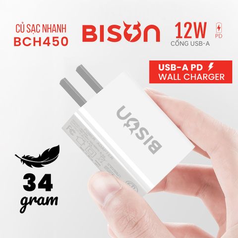 Cóc sạc Bison USB 12W (BCH450)