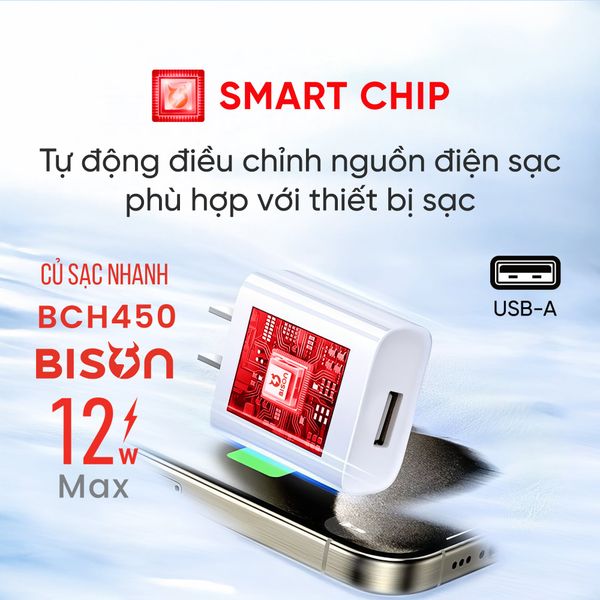 Cóc sạc Bison USB 12W (BCH450)
