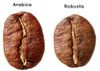 Cà phê hạt rang Robusta (Gói lớn 1kg phù hợp cho quán)
