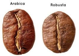 Cà phê hạt rang Robusta 5Kg (Gói lớn 1kg phù hợp cho quán)