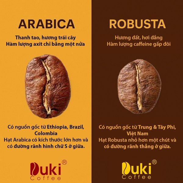 Cà phê hạt rang Robusta 5Kg (Gói lớn 1kg phù hợp cho quán)