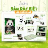  Gấu Trúc Phúc Bảo 
