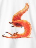 Áo Fox T-Shirt A3-025