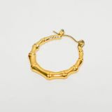 Bông tai nữ NO.17