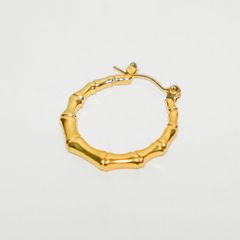  Bông tai nữ NO.17 