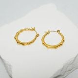 Bông tai nữ NO.17