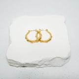 Bông tai nữ NO.17