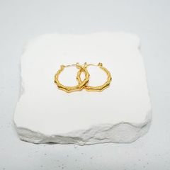  Bông tai nữ NO.17 