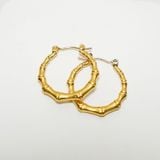 Bông tai nữ NO.17