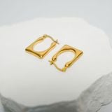 Bông tai nữ NO.65