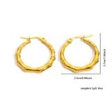 Bông tai nữ NO.17