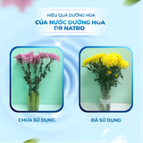 Combo Nước Dưỡng Hoa & Nước Lau Bàn Thờ DR.NATRO - Tặng Kèm Tặng 1 Chai Tẩy Đa Năng 50ml + 1 Miếng Xốp Chà Nhám