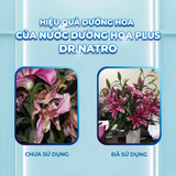 NƯỚC DƯỠNG HOA PLUS DR.NATRO 500ML