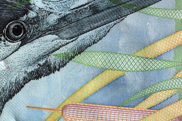 VSC® PDi+ Giải pháp chụp ảnh kỹ thuật số toàn diện cho giấy tờ tùy thân và giấy tờ du lịch