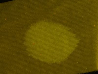 Crime-lite® ML2 Kính lúp để bàn tích hợp đèn chiếu sáng đa bước sóng