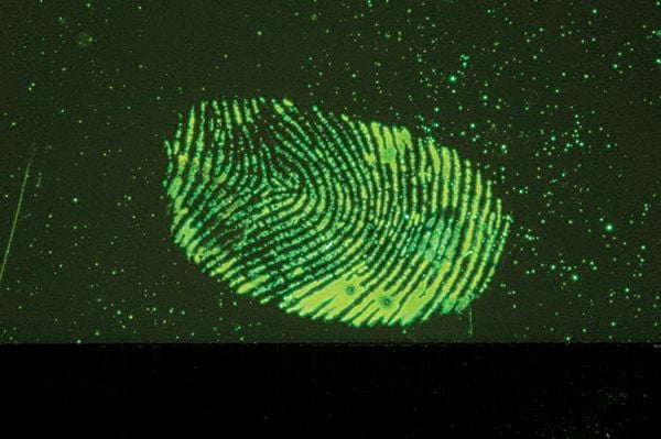 Crime-lite® ML2 Kính lúp để bàn tích hợp đèn chiếu sáng đa bước sóng