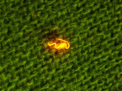 Crime-lite® ML2 Kính lúp để bàn tích hợp đèn chiếu sáng đa bước sóng