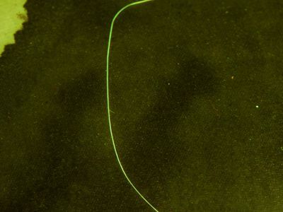 Crime-lite® ML2 Kính lúp để bàn tích hợp đèn chiếu sáng đa bước sóng