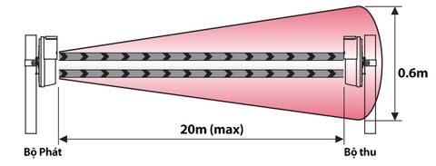 BUS-20XT - Cảm Biến Hồng Ngoại 2 Chùm Tia Công Suất Cao