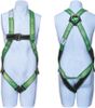  Dây đai an toàn toàn thân SAFE-T-110 – PPE 