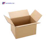  Hộp Carton Ship COD 