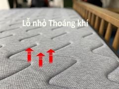 NỆM LOXO TÚI ĐỘC LỘC D'LOUIS KINGDOM CAO 30CM